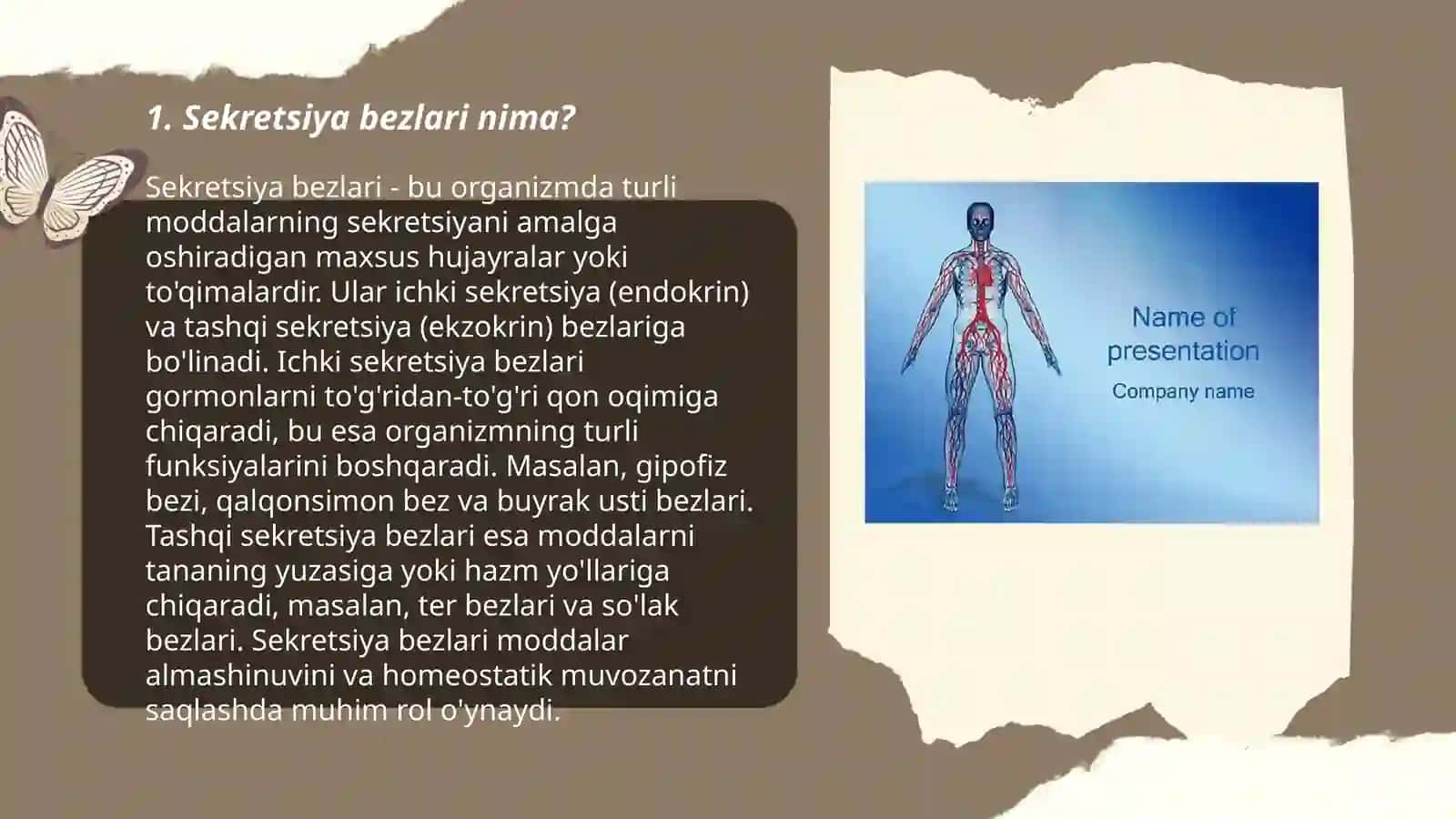 Sekretsiya bezlari 3