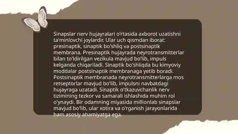 Sinaps va mesiatorlarning umumiy tasnifi 3
