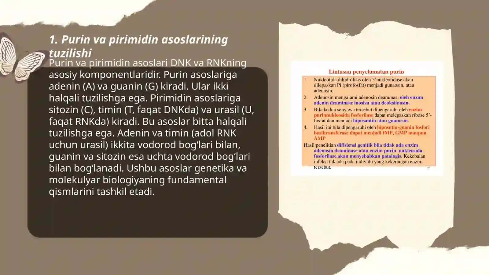 Purin va pirimidin asoslari almashinuvi 3
