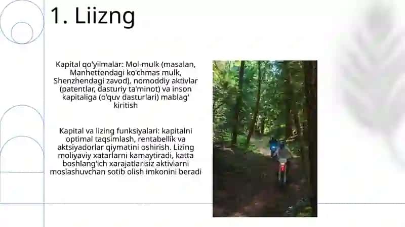 Kapital qo'yilmalar: Mol-mulk (masalan, Manhettendagi ko'chmas mulk, Shenzhendagi zavod) 3