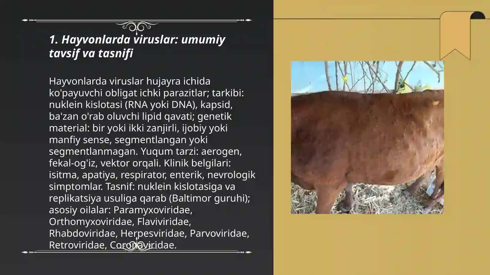 Hayvonlarda uchrovchi virusli kasalliklar 3