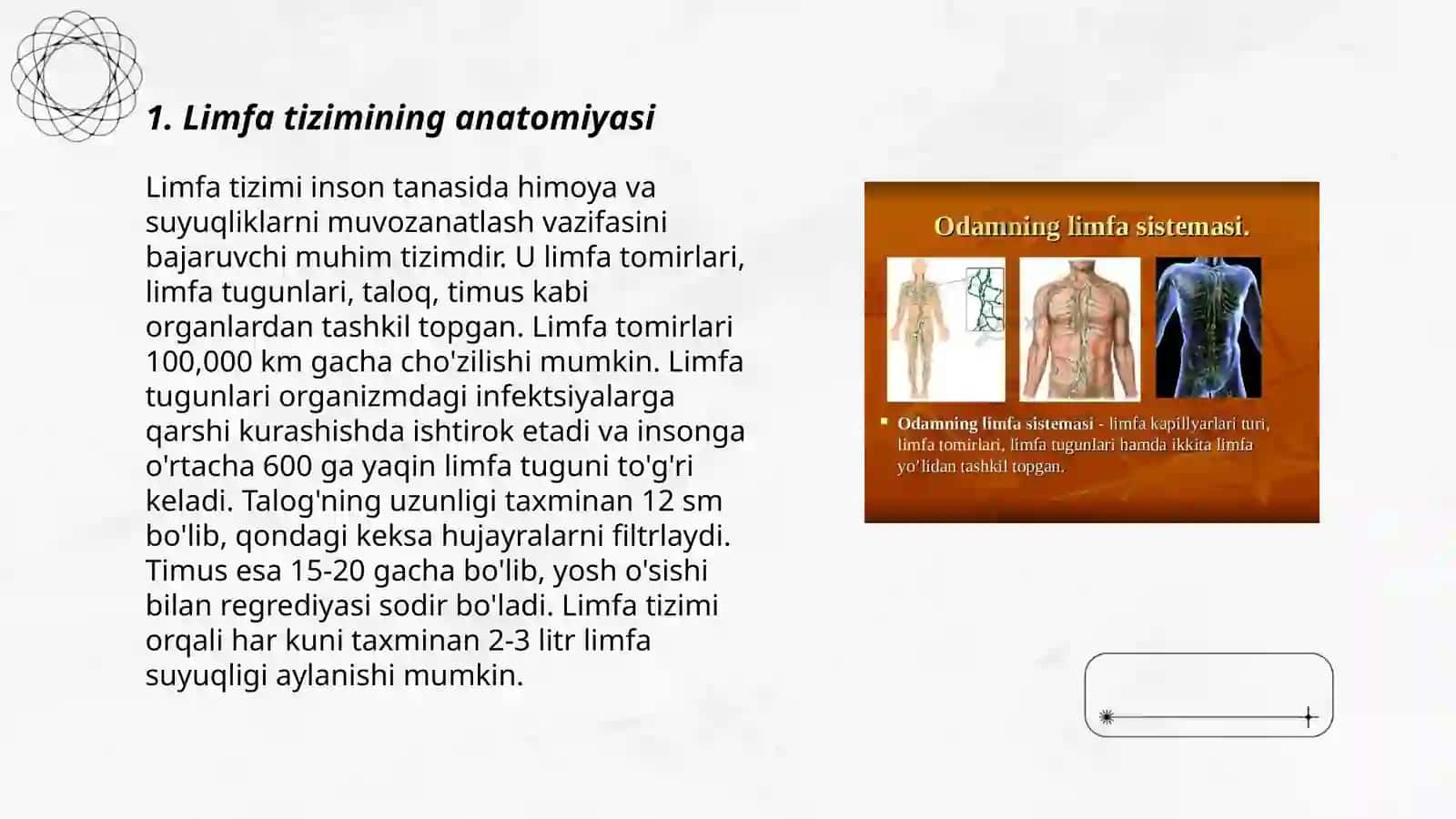 Limfaning tarkibi xususiyati va harakati 3