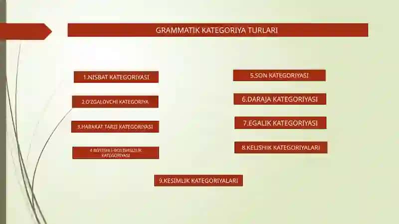 GRAMMATIK KATEGORIYALAR 3