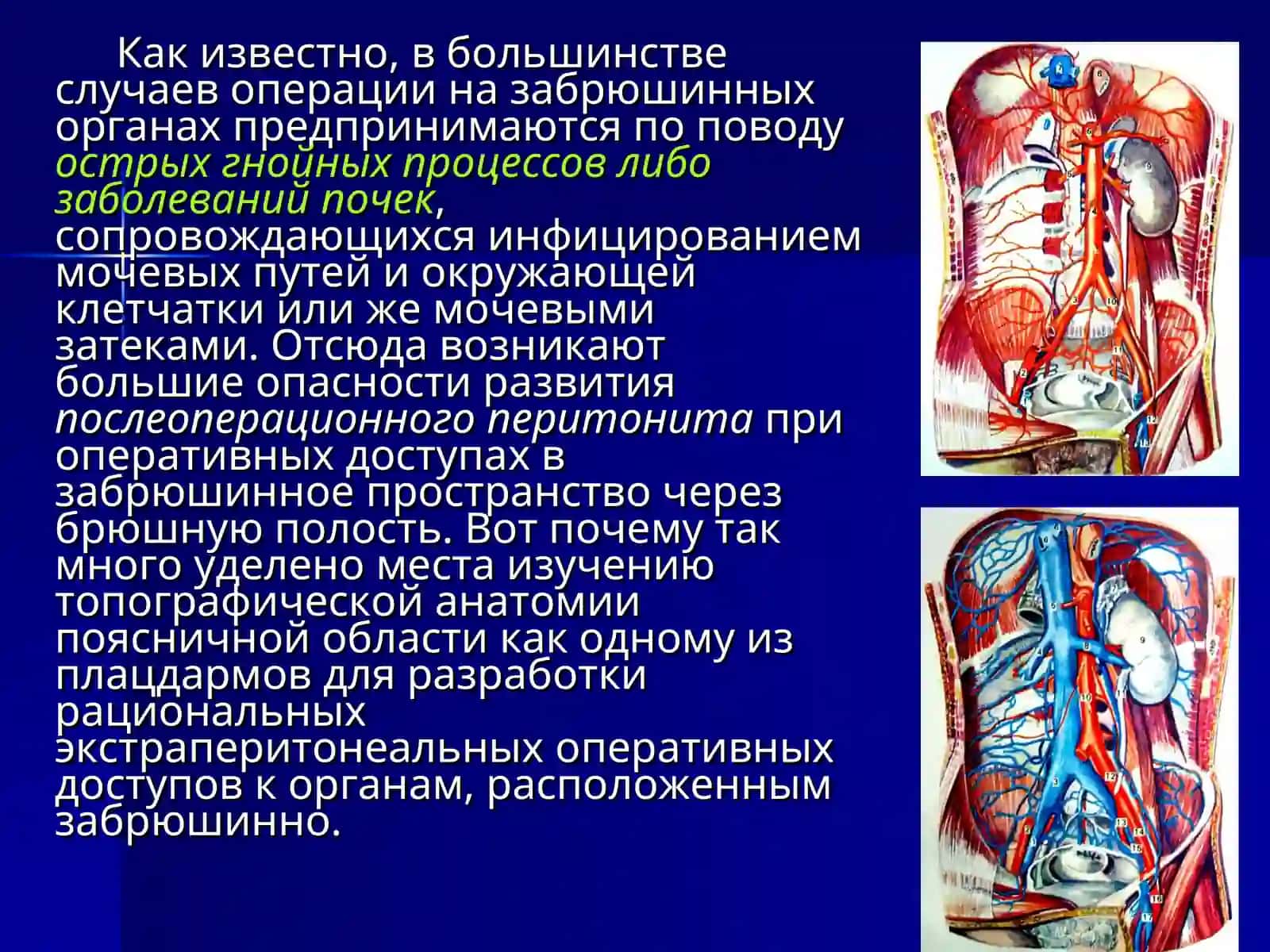 ХИРУРГИЧЕСКАЯ АНАТОМИЯ ПОЯСНИЧНОЙ ОБЛАСТИ И ПОДВЗДОШНОЙ ЯМКИ 3