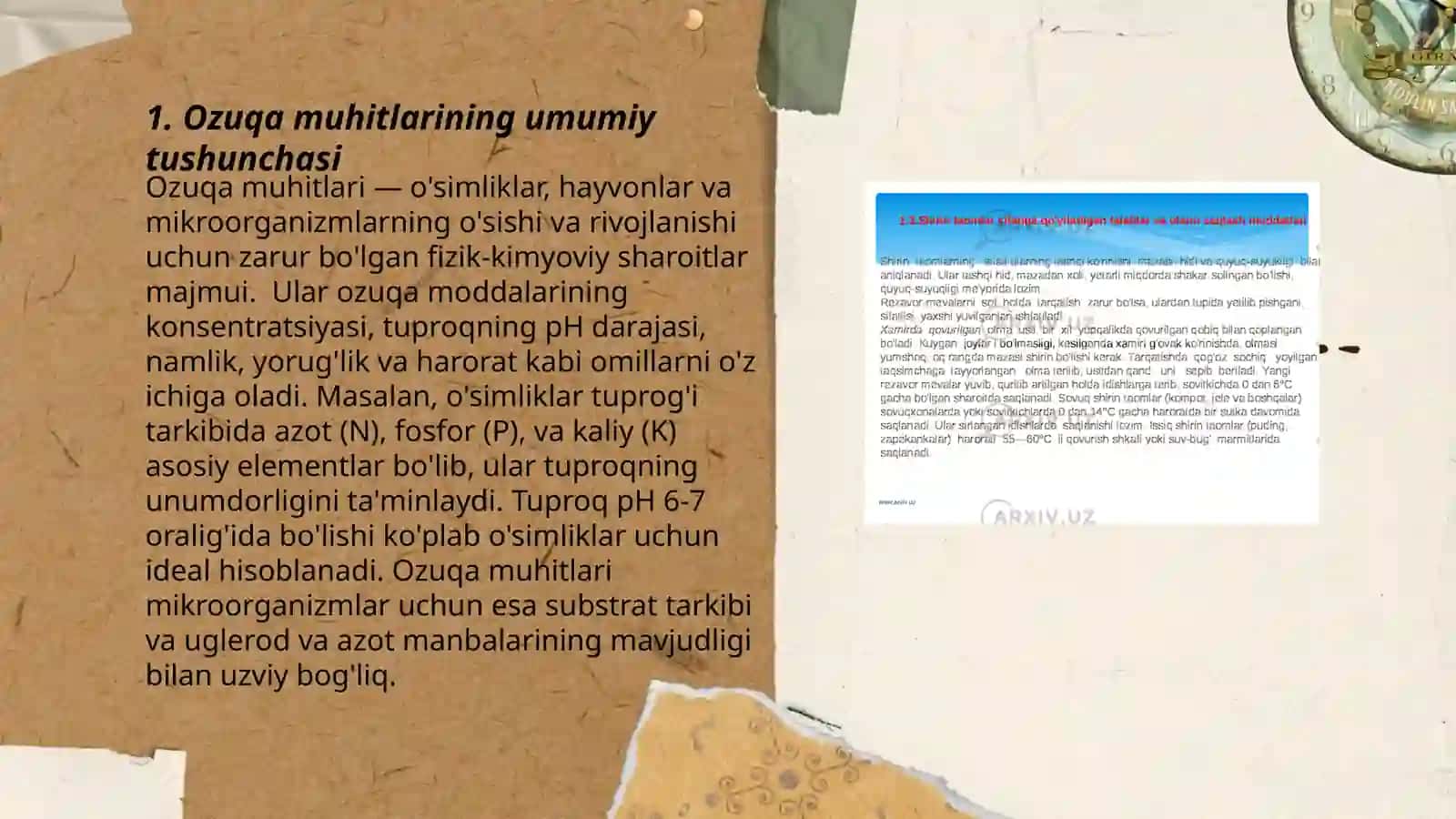 Ozuqa muhitlari. Ozuqa muhutlarini tayorlash tamoillari 3