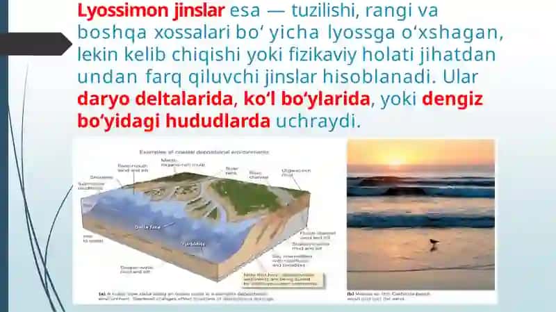 Lyoss va lyossimon jinslar va ularning xossalari 3