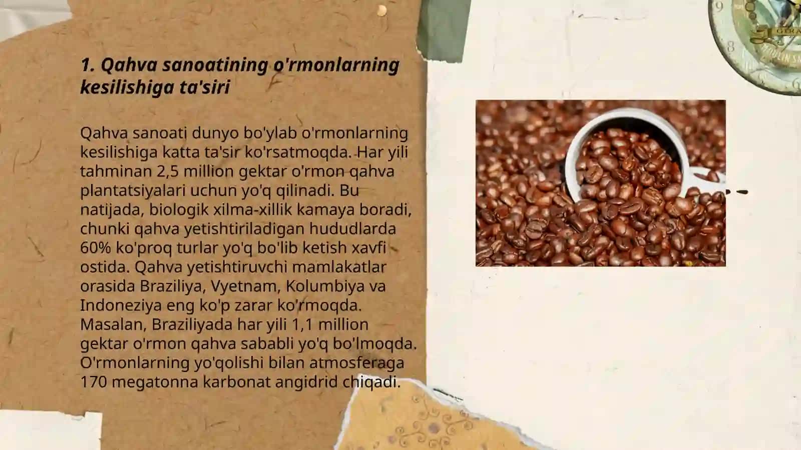 Qahva sanoatining atrof-muhitga ta’siri va iste’mol rejalarini korib chiqish 3