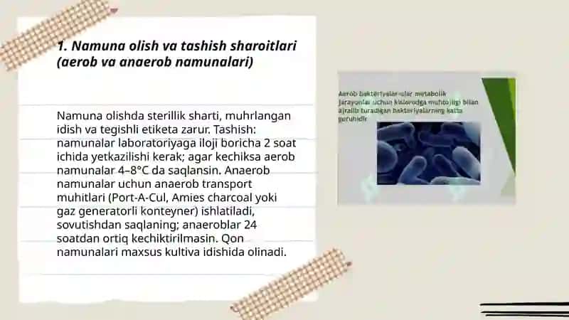 Aerob va anaerob bakteriyalarning sof kulturasini ajratib olish va ularning identifikatsiya qilish usullari 3