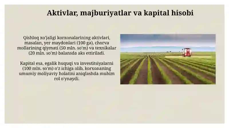 Qishloq xoʻjaligi korxonalarida buhgalteriya hisobini tashkil qilish asoslari 3