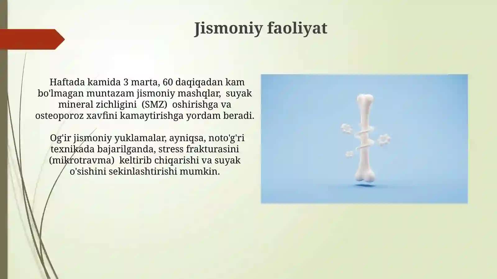 Suyaklarning o'sishi va rivojlanishiga ta'sir etuvchi omillar 3