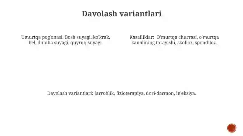 Umurtqa pogʻonasi, boʻlimlari va kasalliklari 3