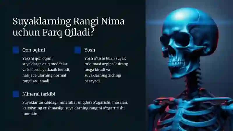 Suyaklarning Rengin.Anatomiya vaRivojlanishAnomaliyalari 3