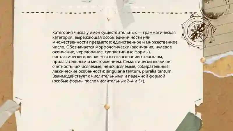 Категория числа у имён существительных 3