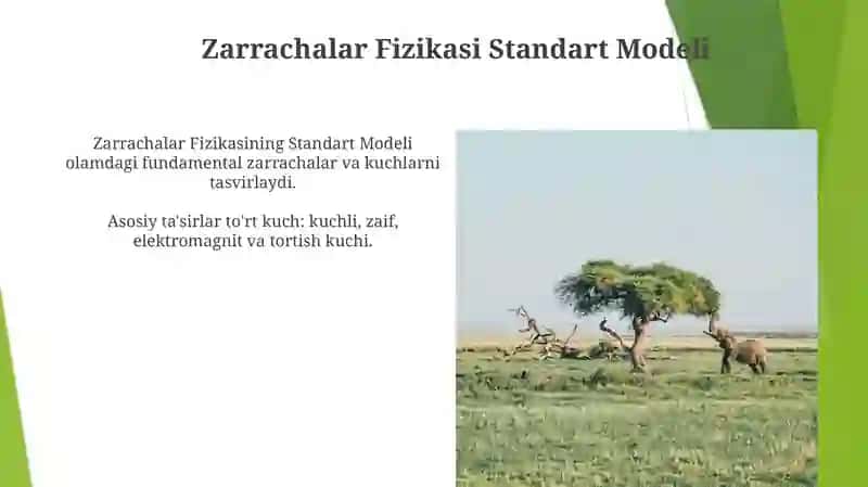 Zarrachalar Fizikasi Standart Modeli 3