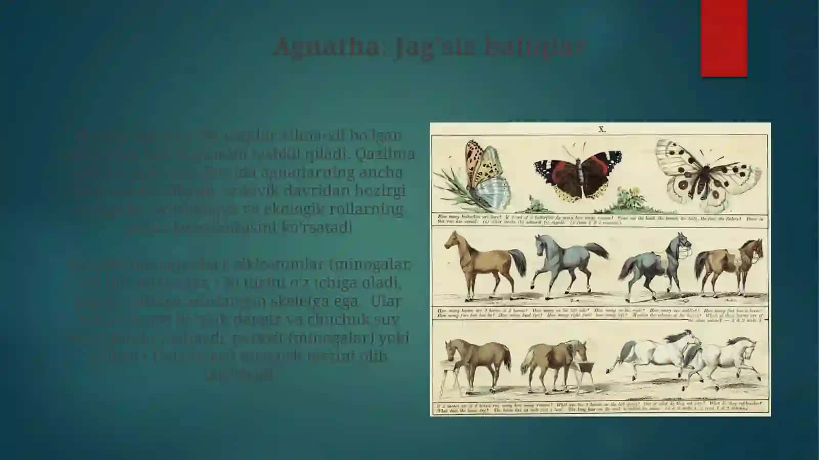 Suvo'tlarining zamonaviy sistematik bo'limlari va kategoriyalari 3