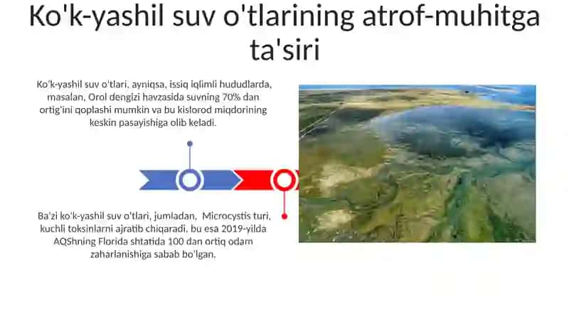 Ko'k yashil suvo'tlari 3