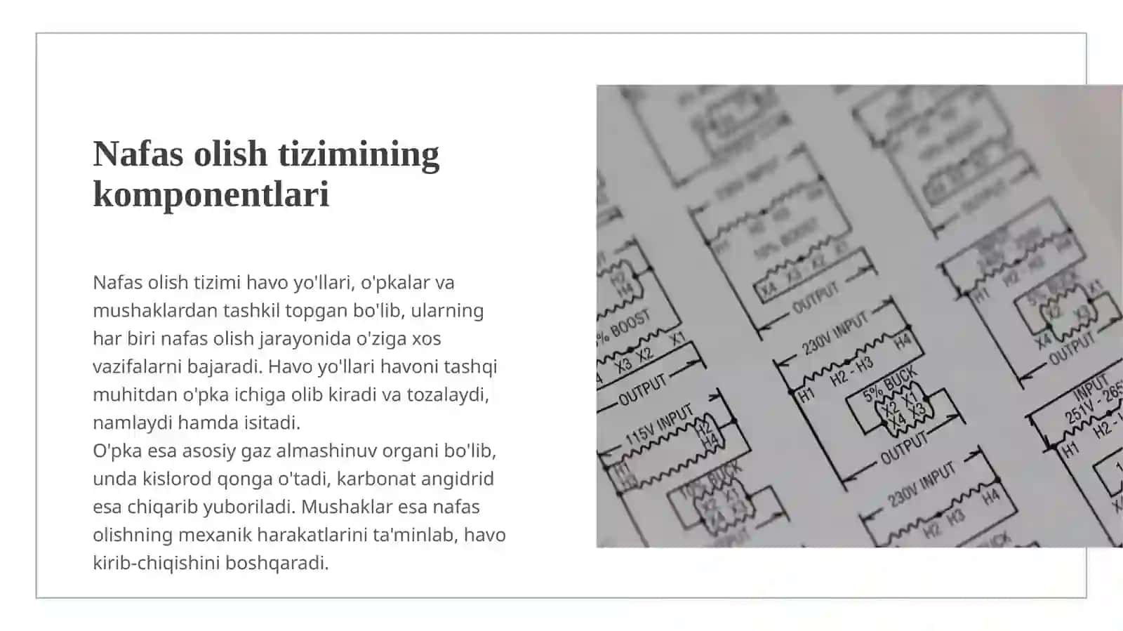 Nafas olish sistemasining fizikasi 3