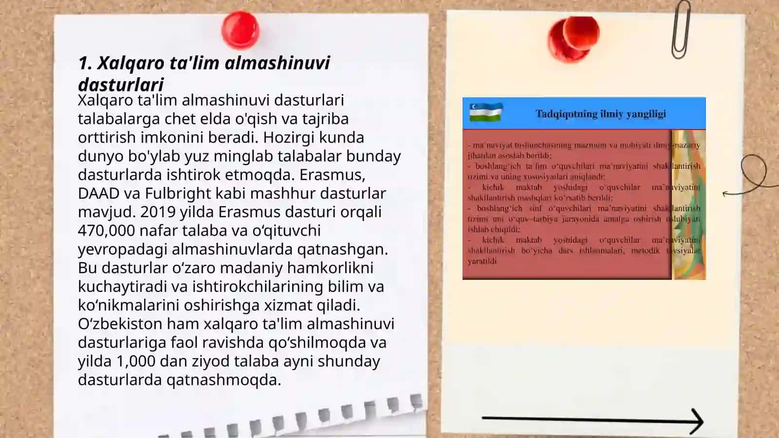 Xalqaro ta'lim almashinuvi dasturlari 3