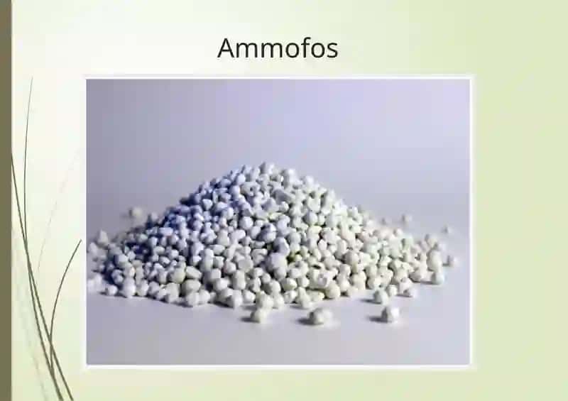 Mineral, mikro va bakterial o‘g‘itlar 3