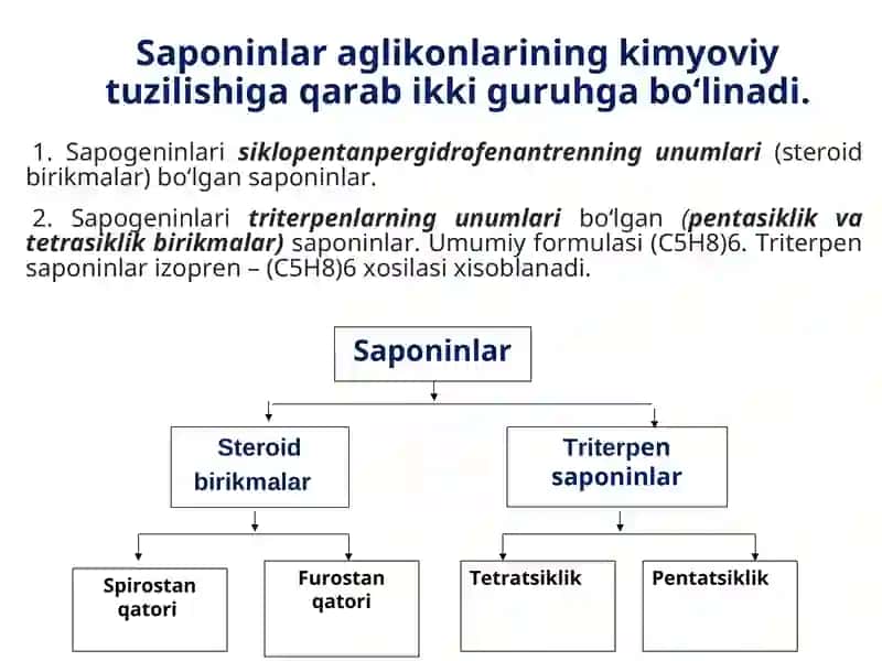 Tarkiboda saponinlar bo’lgandorivor o’simliklar va mahsulotlar 3