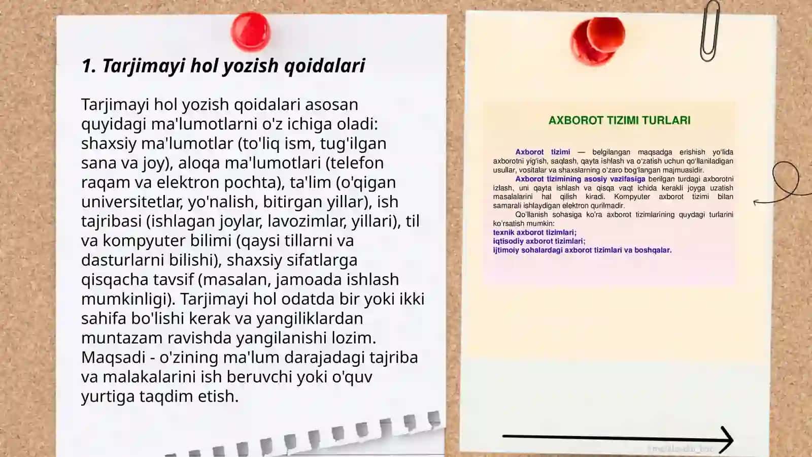 Ma'lumot axborot hujjatlari.Tarjimayi hol.Bildirgi va tafsiyanoma 3