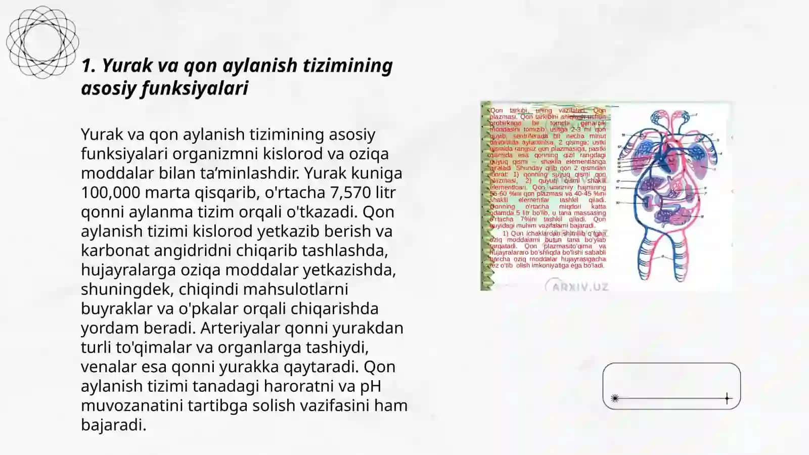 Yurak va qon tomirlar fiziologiyasi va gigiyenasi 3