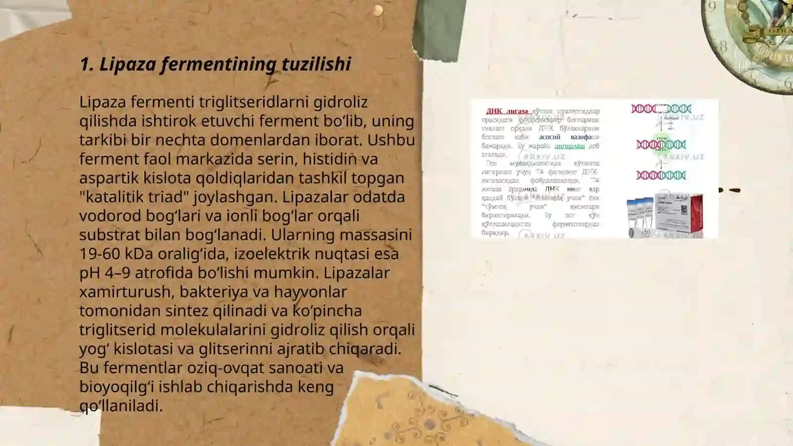 Lipaza fermenti faolligini organish 3