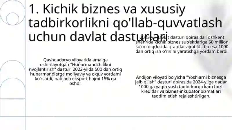 Kichik Biznes va Xususiy Tadbirkorlikni Rag'batlantirish 3