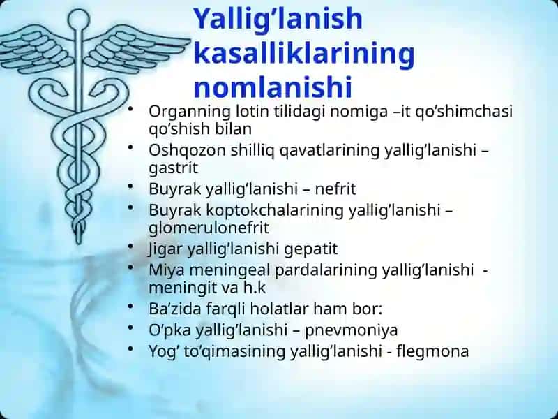 Yallig’lanish 3