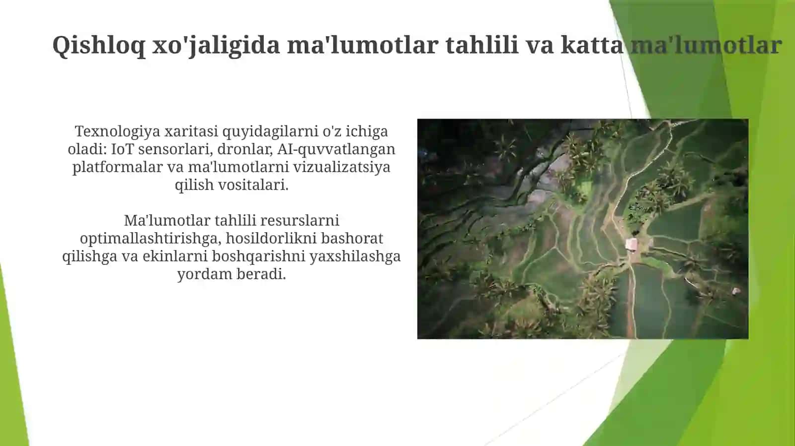 Sun'iy Intellekt (SI) Qishloq xo'jaligida 3