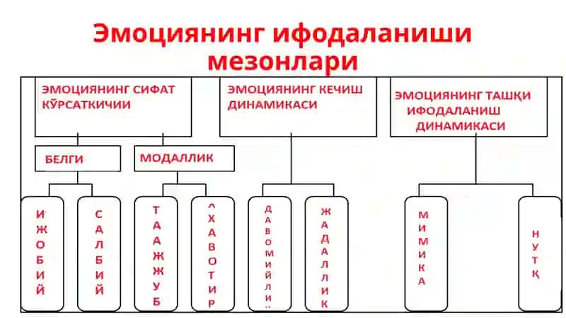 Эмоциянинг Роли ва Функциялари 3