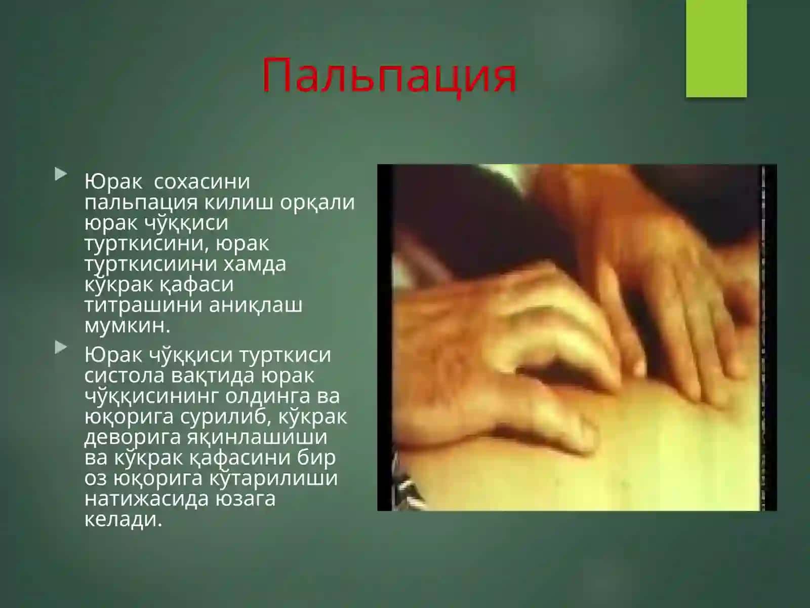 Машгулот №14. Юрак фаолиятини ташкикўришлари 3