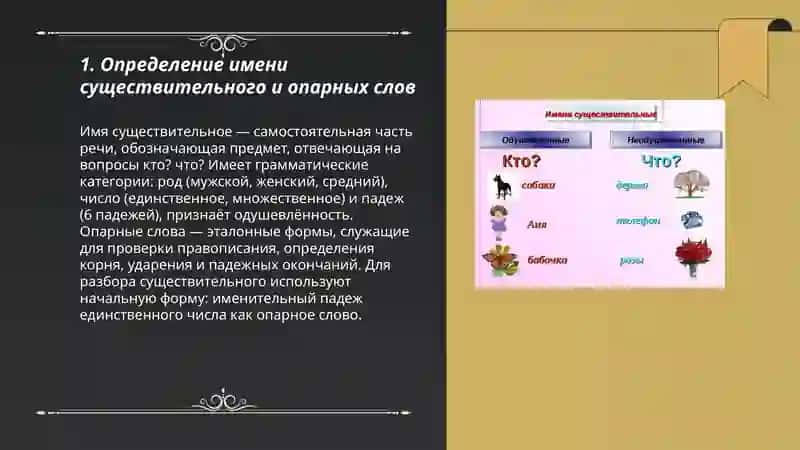 Определение имени существительного и опарных слов 3