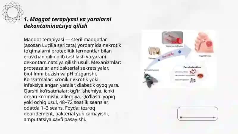 Maggot terapiyasi va yaralarni dekontaminatsiya qilish 3
