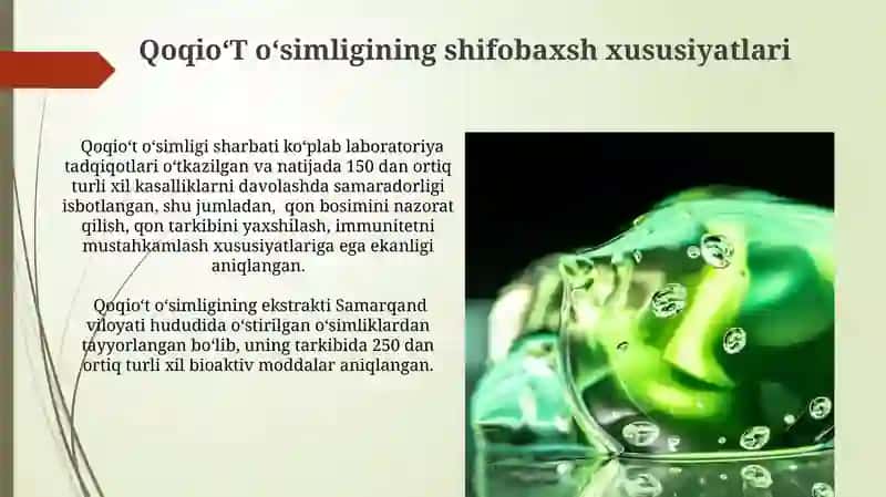 Qoqioʻt oʻsimligining shifobaxsh xususiyatlari 3