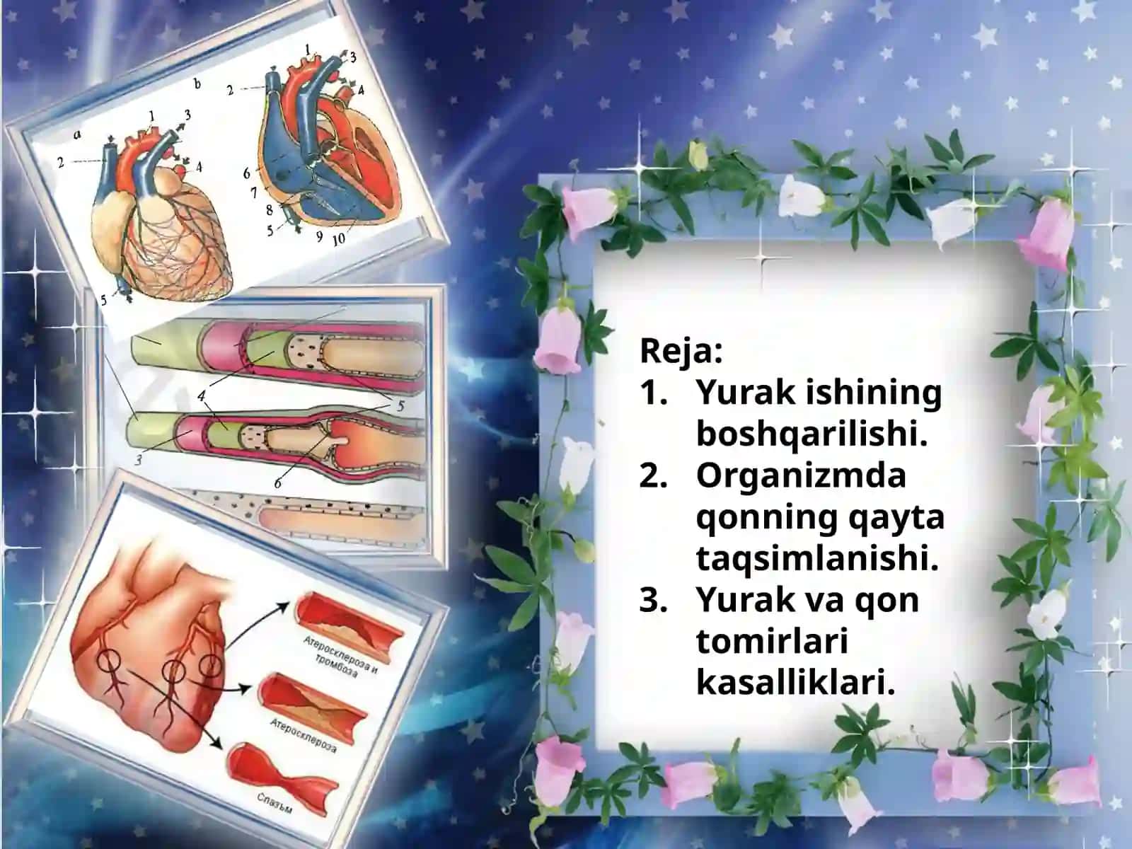 Qonaylanish organlari ishining boshqarilishi 3