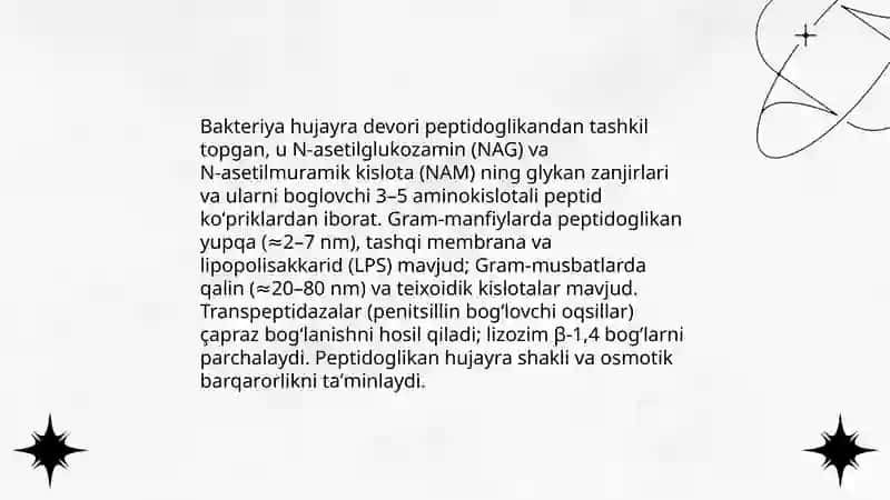 Bakteriya hujayrasining tuzilishi va kimyoviy tarkibi 3