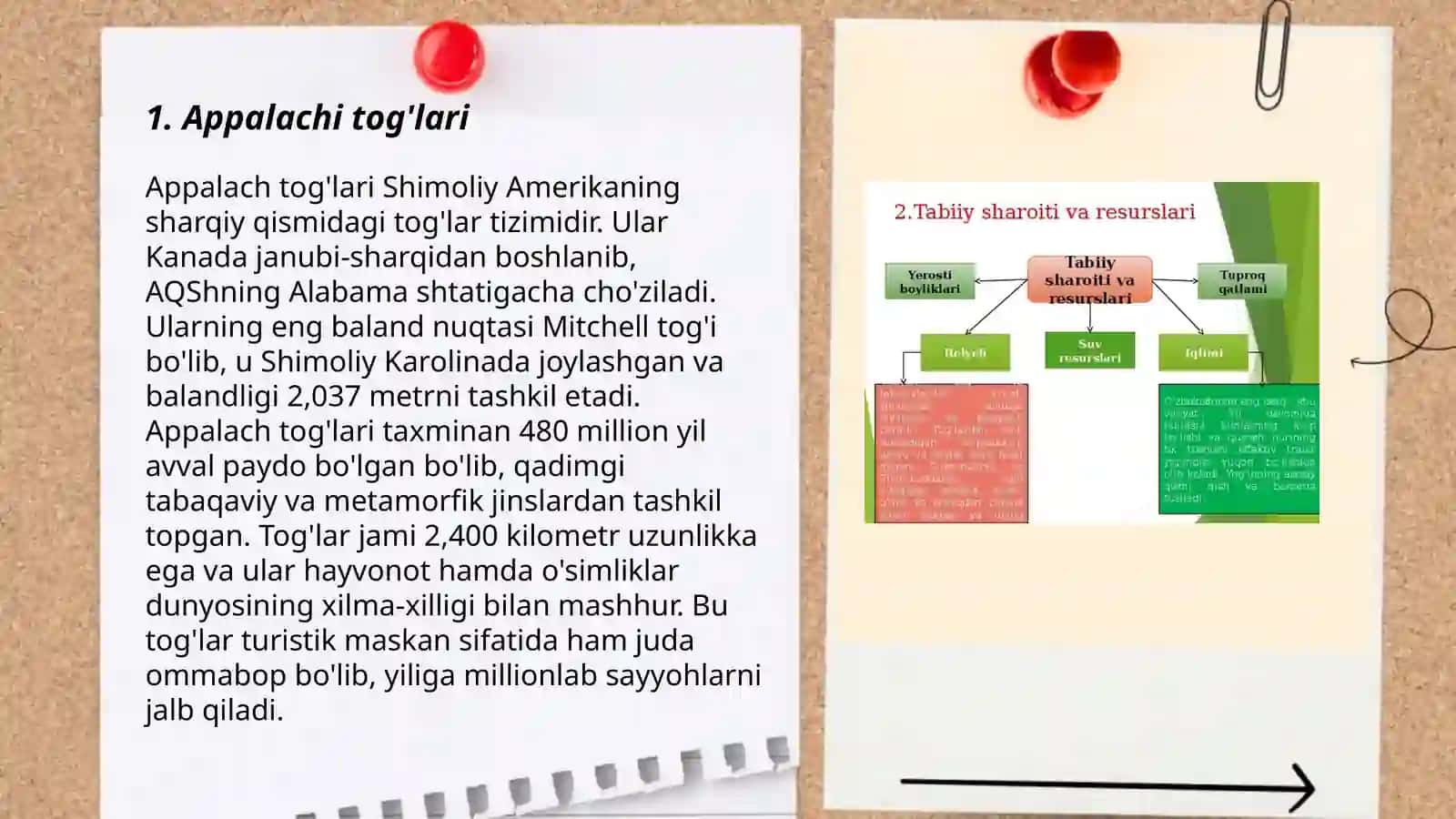 Shimoliy Amerika tabiiy geografik rayonlari 3
