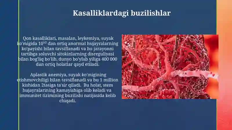 Qon hujayralari hosil boʻlishini boshqarishda transkripsiya omillarining ahamiyati 3