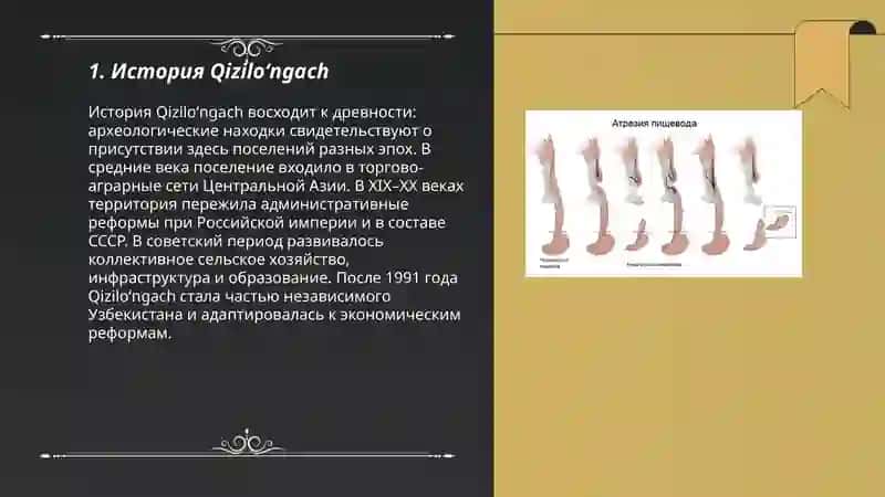 Qiziloʻngach 3