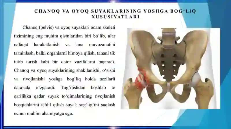 Chanoq suyagining yoshga nisbatan xususiyatlari. Sport va mehnat faoliyatining chanoq va oyoq tasiri. Rivojlanish nuqsonlari 3