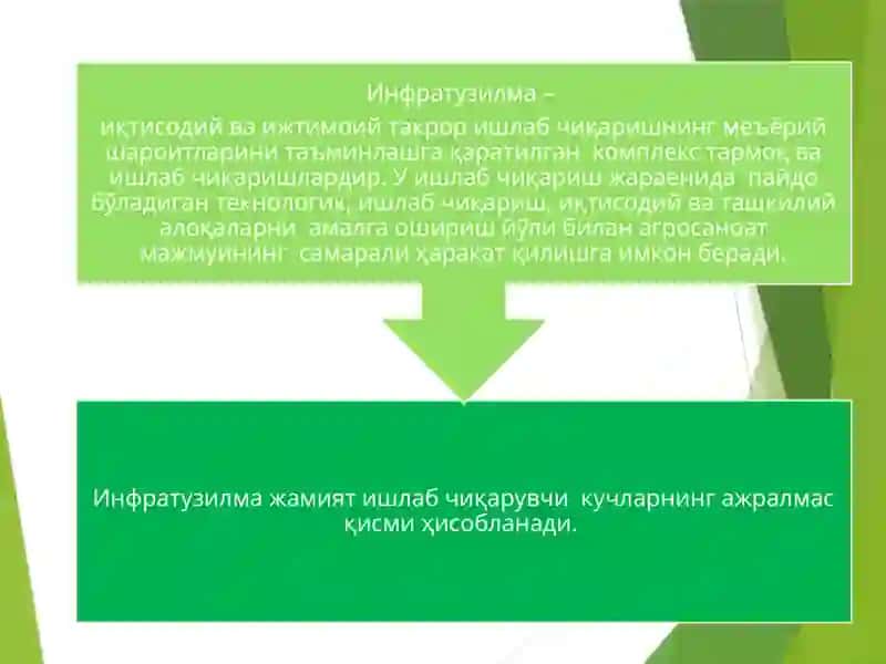 Қишлоқ ҳўжалигида инфратузилма ва уни ривожлантириш йўллари 3
