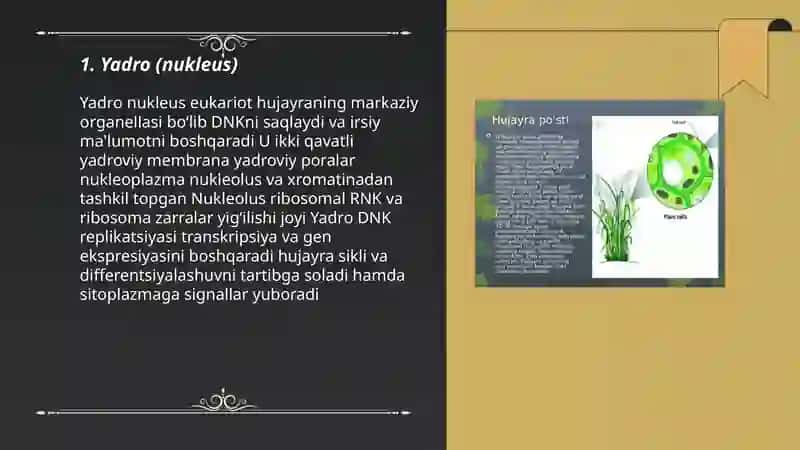Yadro (nukleus) 3