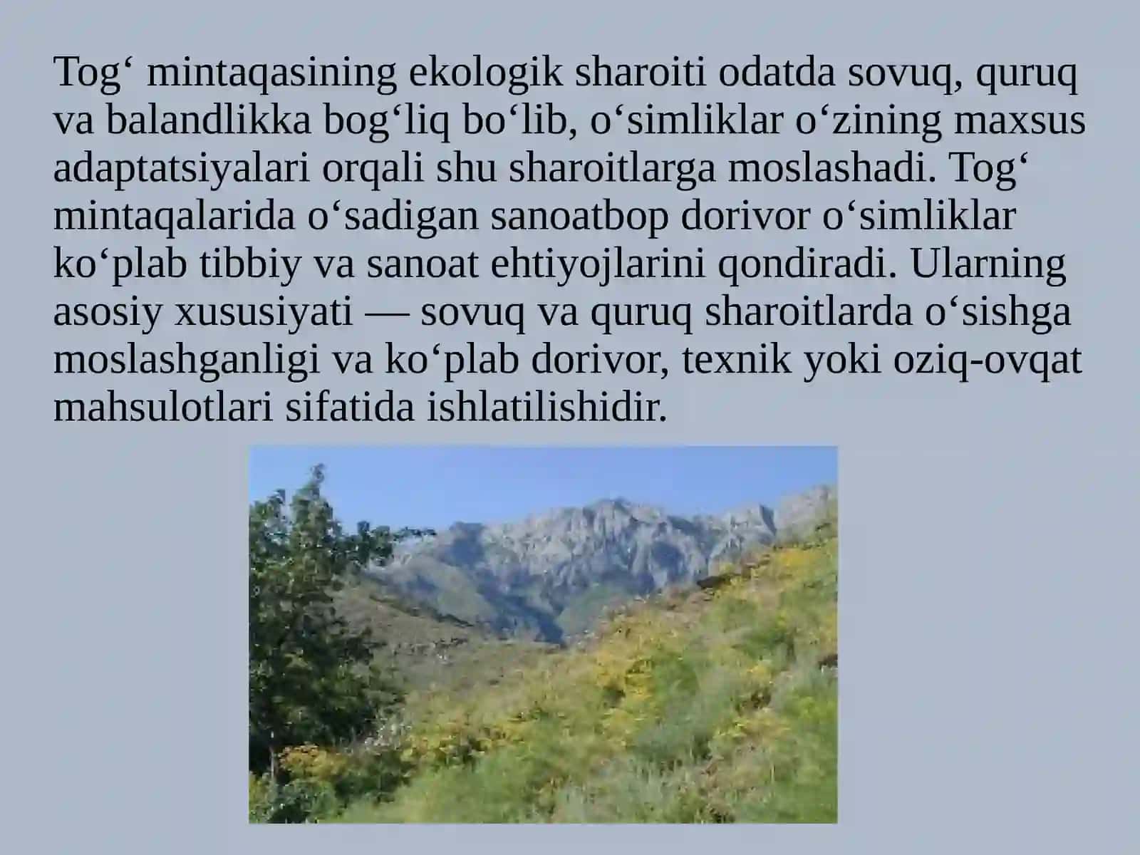 TOG‘ MINTAQASI EKOLOGIK SHAROITINING SANOATBOP VA TEXNIK DORIVOR O‘SIMLIKLARI 3
