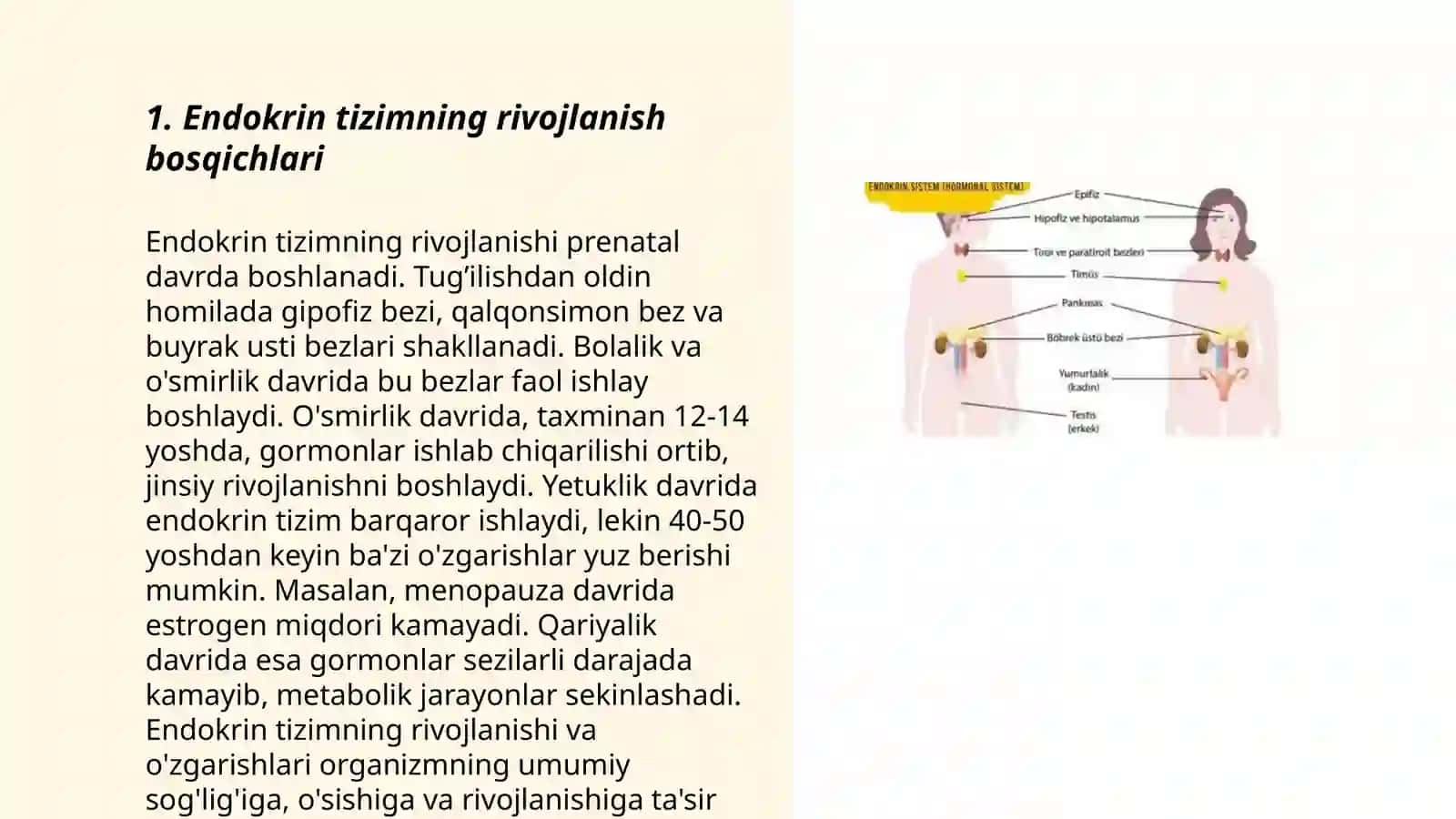 Endokrin tizimning yoshga oid fiziologiyasi va gigiyenasi 3