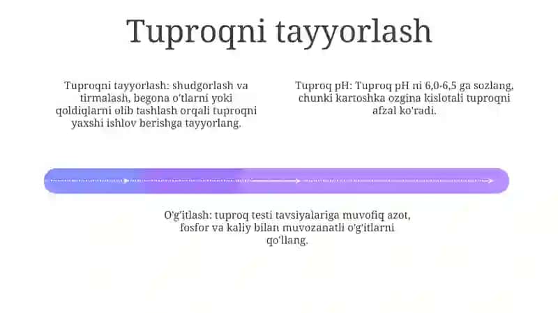 Ikki Hosilli Kartoshkani Bòz Tuproqlarda Yetishtirishning Texnologik Xaritasi 3