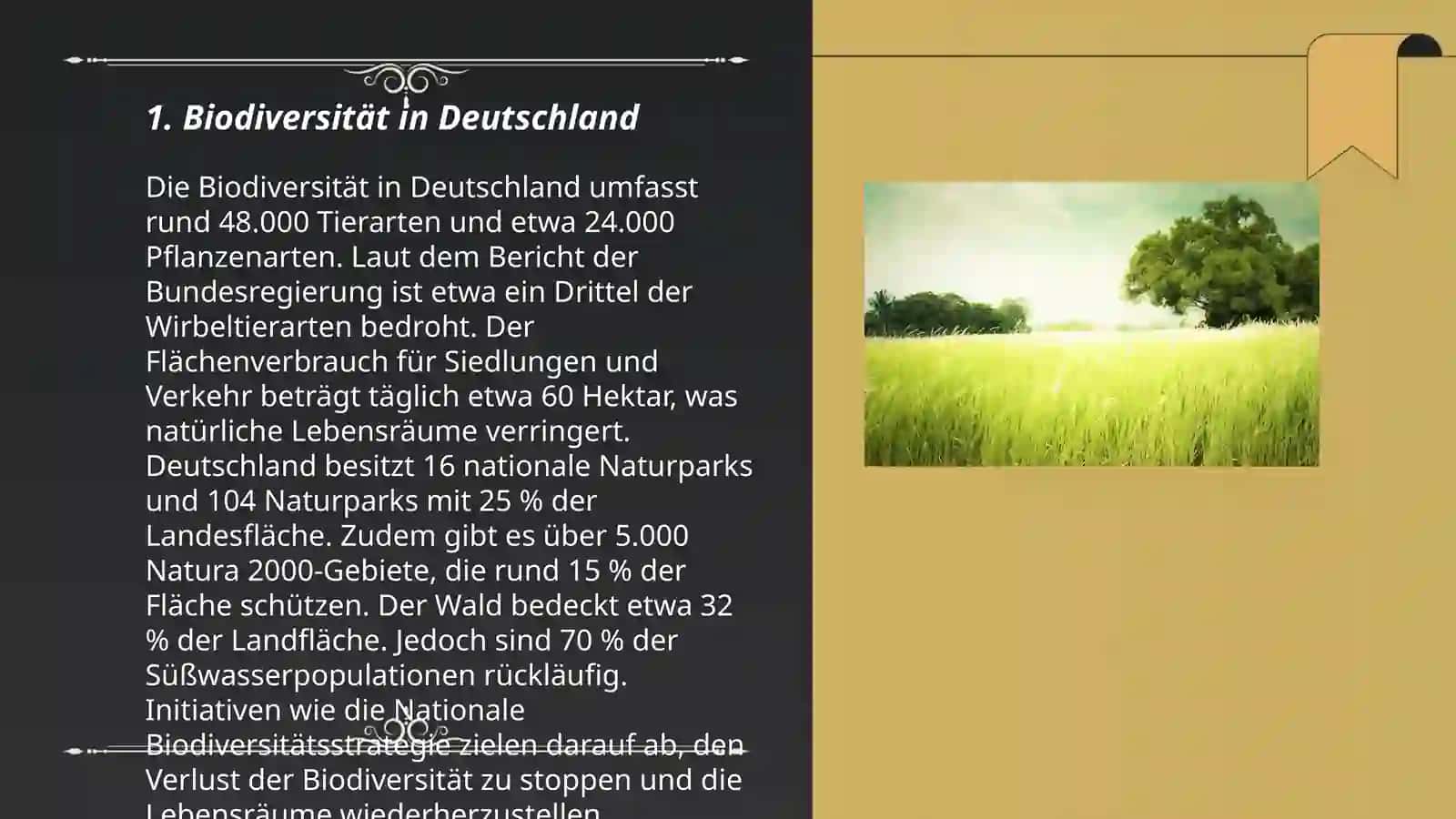 Natur 3