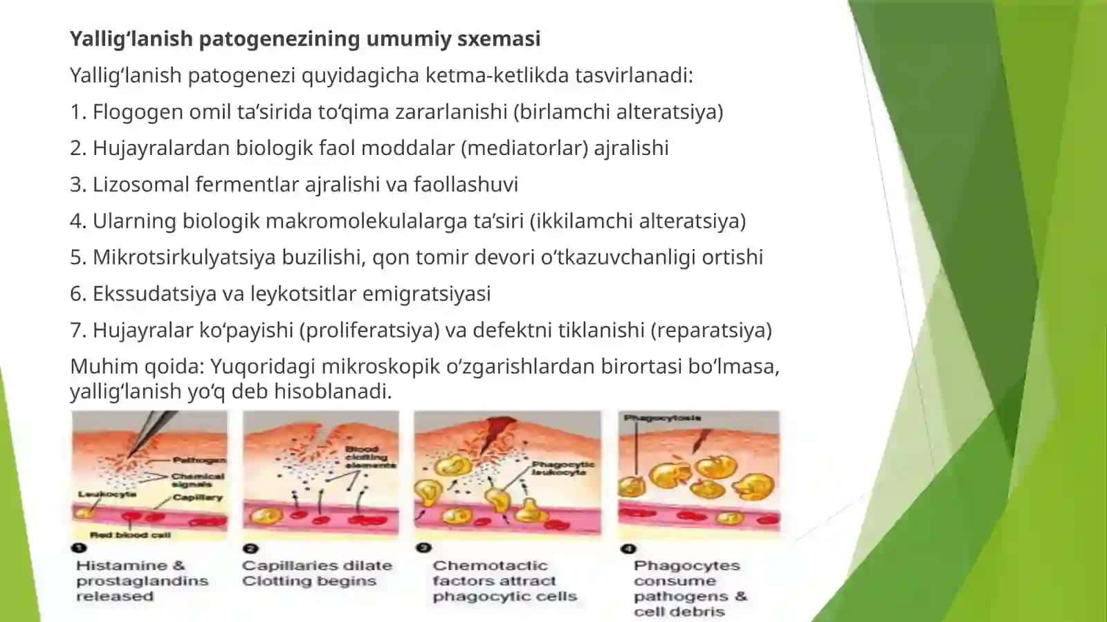 Alteratsiya, ekssudatsiya, leykotsitlaremigratsiyasi va klinik belgilarni tajribadan chiqarish 3