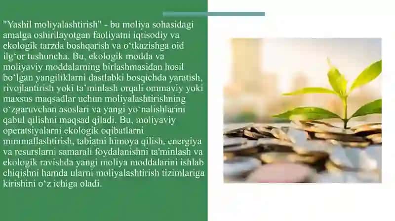 “Yashil iqtisodiyot”ga o’tish jarayonini moliyalashtirish. 3