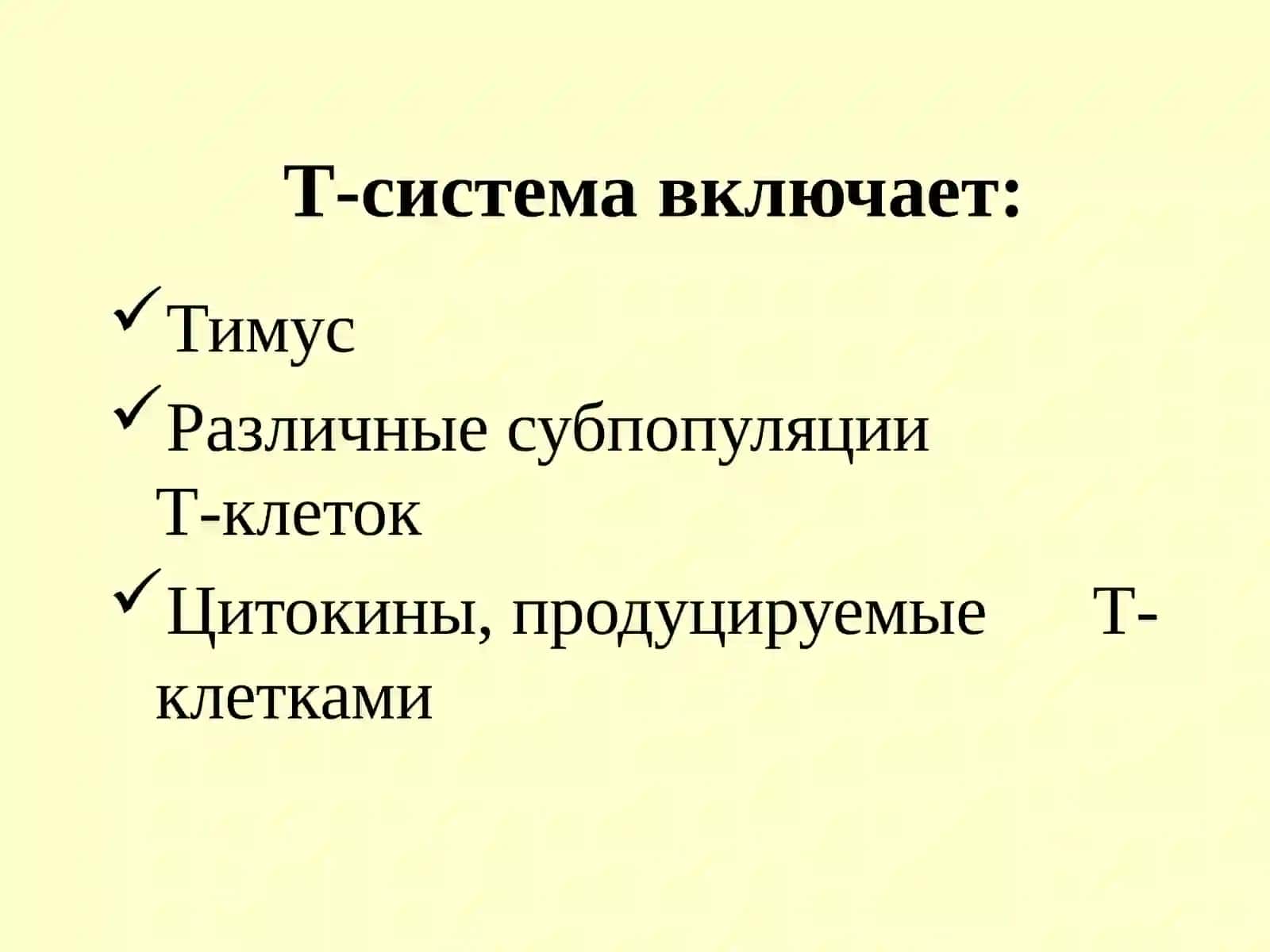 Т-лимфоциты 3